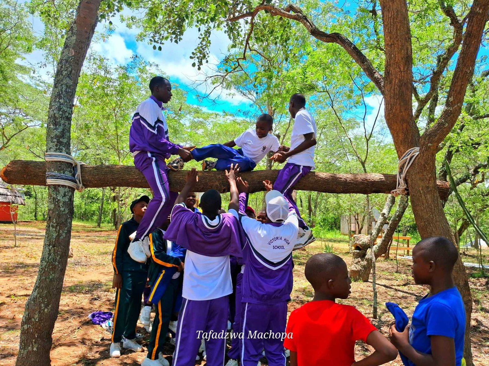 Team-building group balancing on a log between the trees