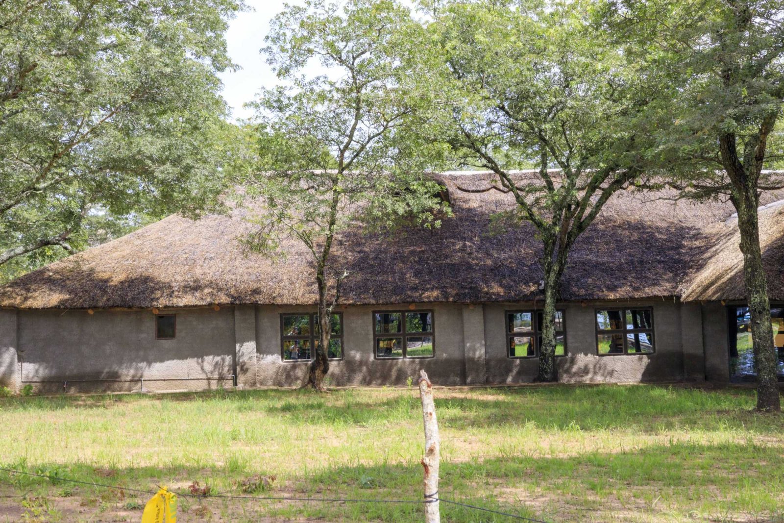 Thatched chalets under the trees